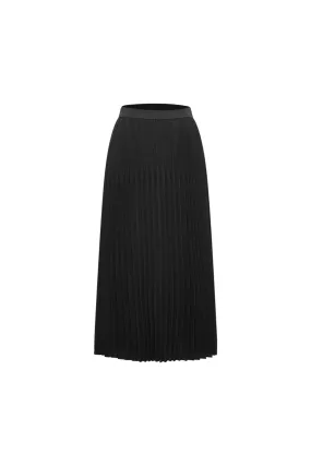 Chiffon Pleated Flare Skirt