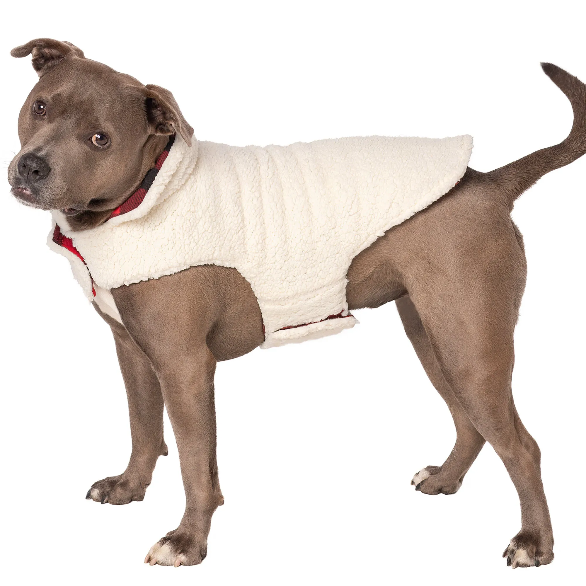 Flex-Fit Reversible Dog Coat