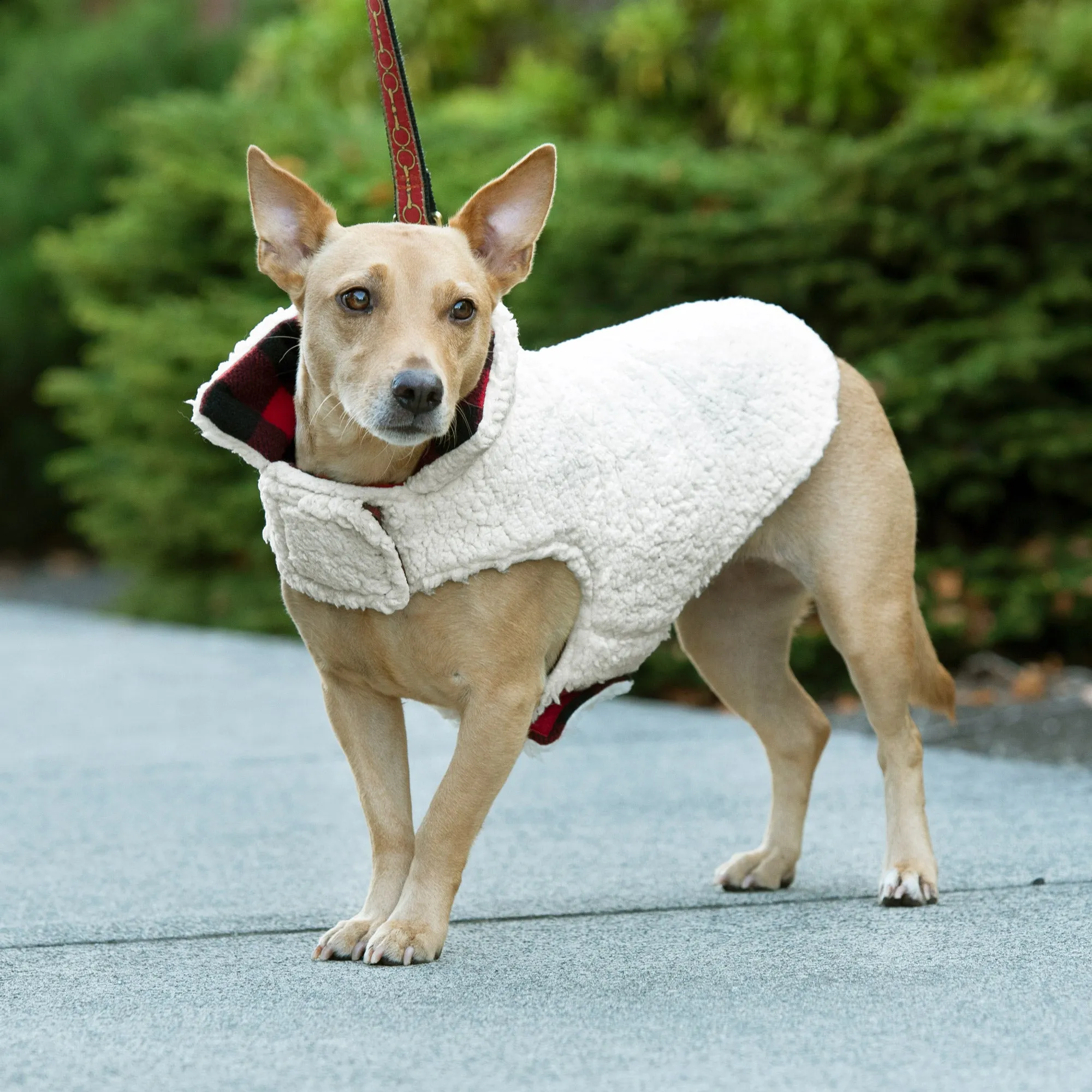 Flex-Fit Reversible Dog Coat