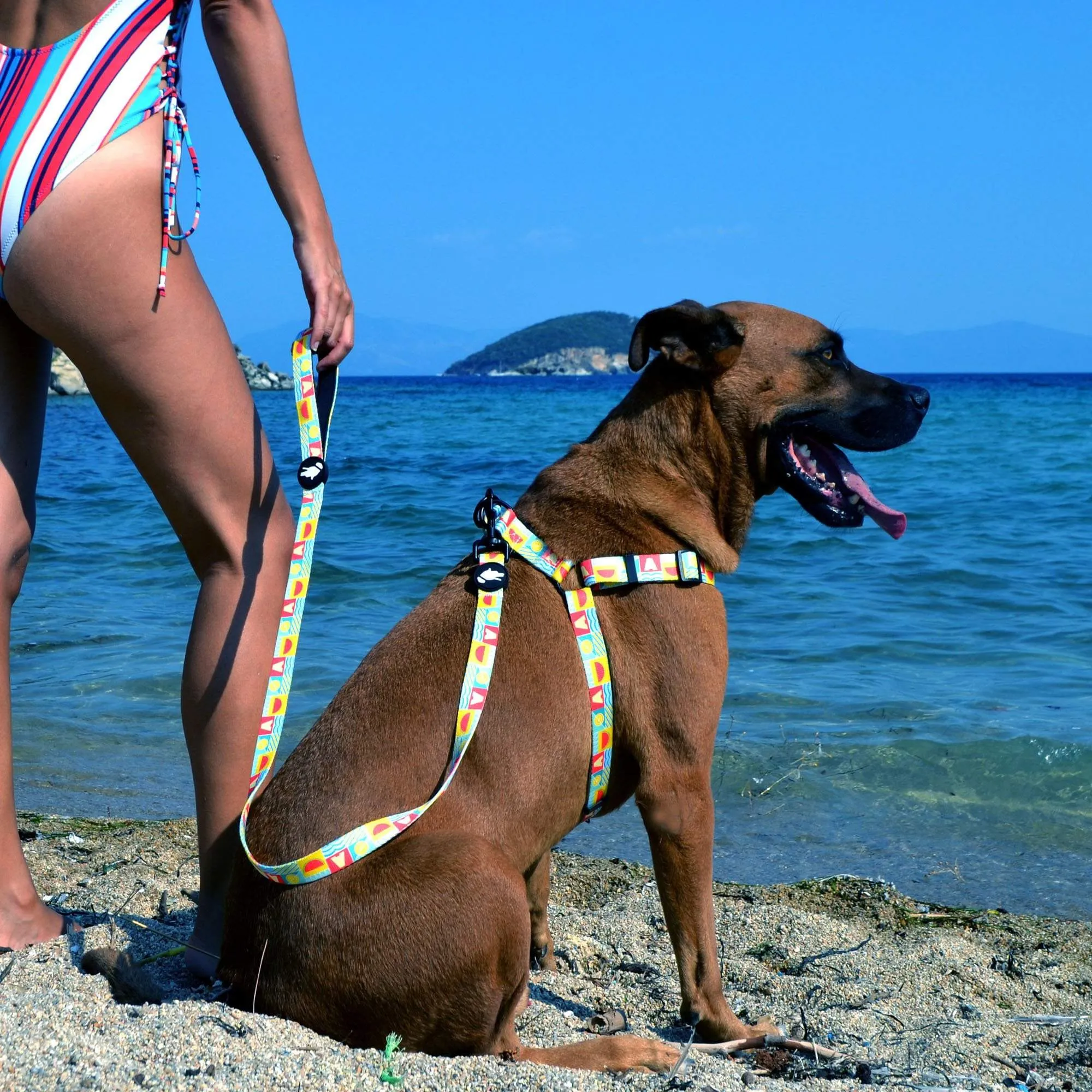 "Watermelon Dog Harness"