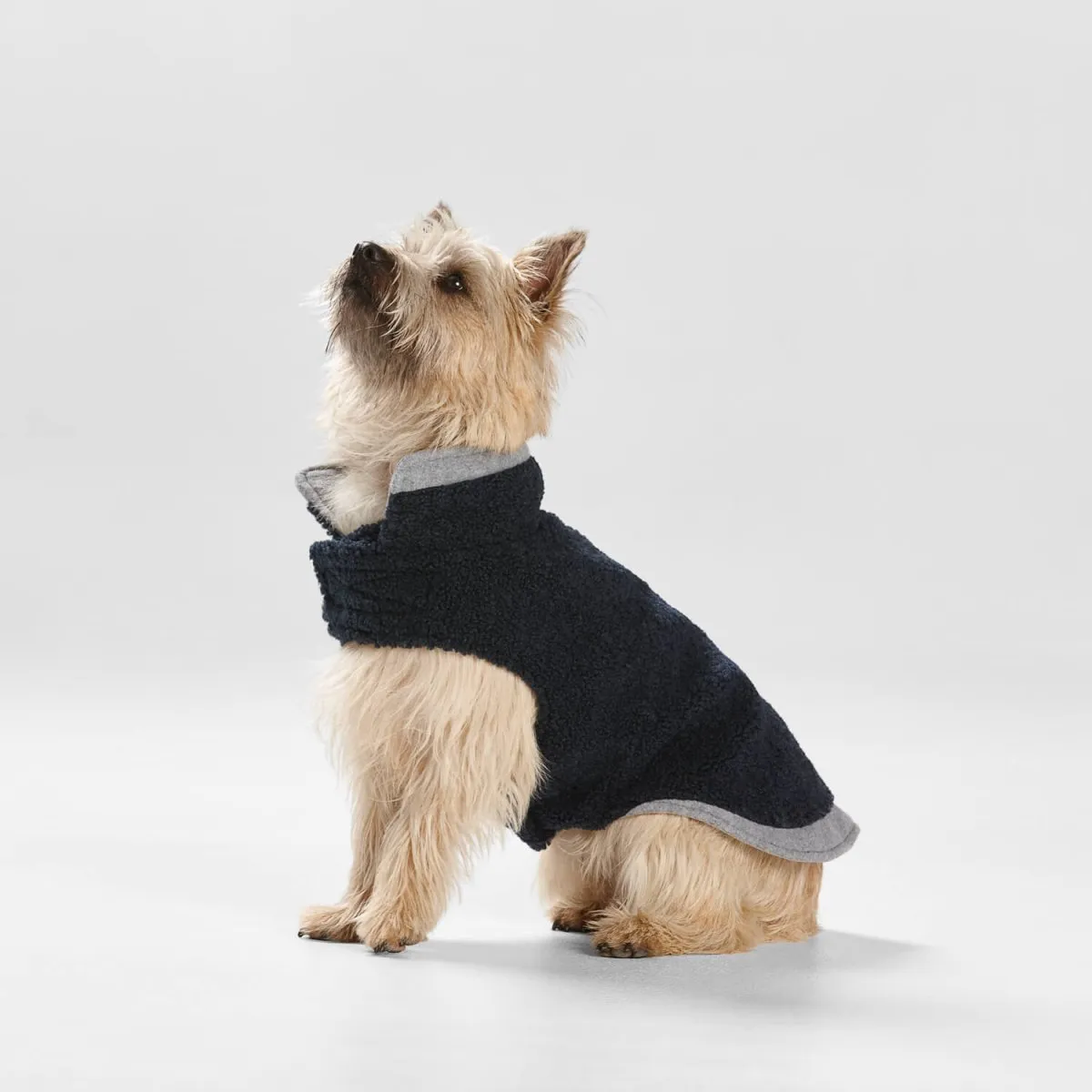 Teddy Dog Coat with Double Collar and Hem