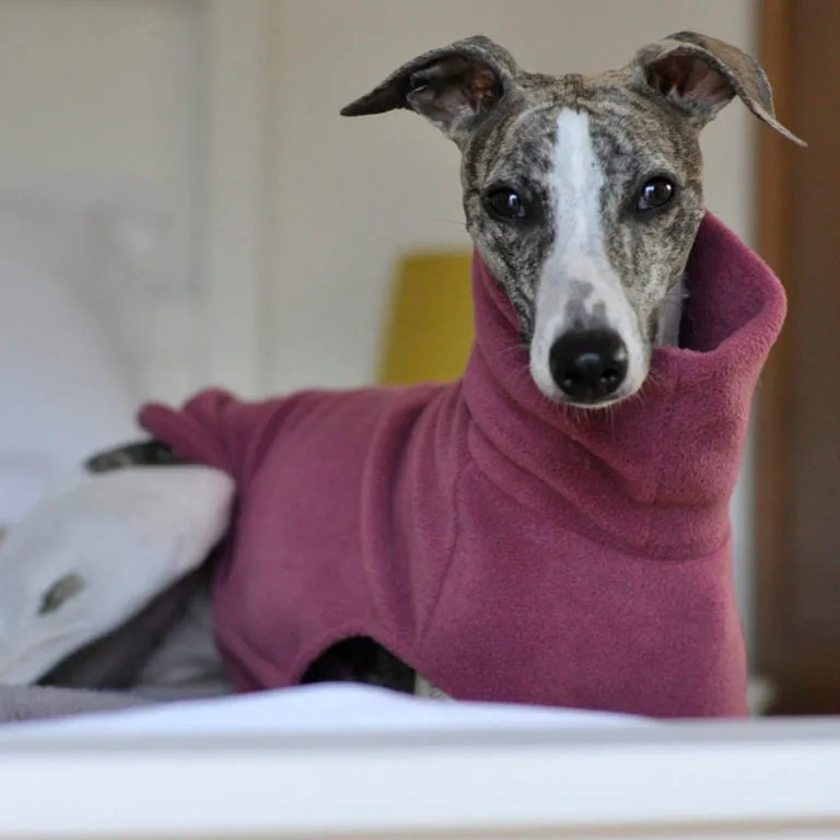 Whippet Fleece Jumper